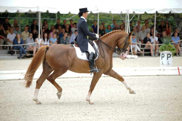 CatherineHaddadStaller-Winyamaro-USEF_2010_WEG_SelTrials_DER_6094-DDeRosaPhoto.jpg