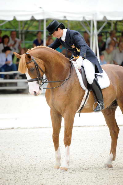 CatherineHaddadStaller-Winyamaro-USEF_2010_WEG_SelTrials_DER_6106-DDeRosaPhoto.jpg