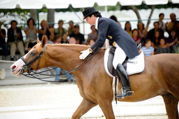 CatherineHaddadStaller-Winyamaro-USEF_2010_WEG_SelTrials_DER_6111-DDeRosaPhoto.jpg