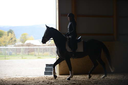 HHB2-10-13-12-0850-Folsom-MarianNilsen-DDeRosaPhoto