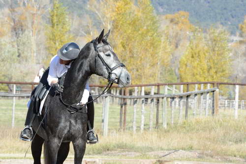 HHB2-10-14-12-1900-Folsom-MarianNilsen-DDeRosaPhoto