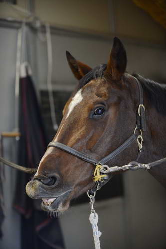 HHB1-10-13-12-9285-EauDeVie-DDeRosaPhoto