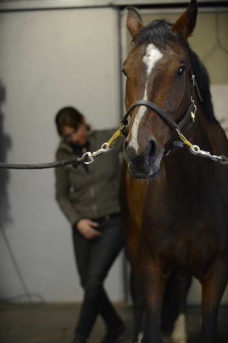 HHB1-10-13-12-9642-EauDeVie-MarianNilsen-DDeRosaPhoto