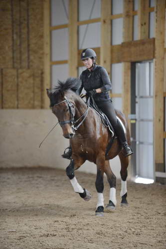 HHB1-10-13-12-9875-Atego-MarianNilsen-DDeRosaPhoto