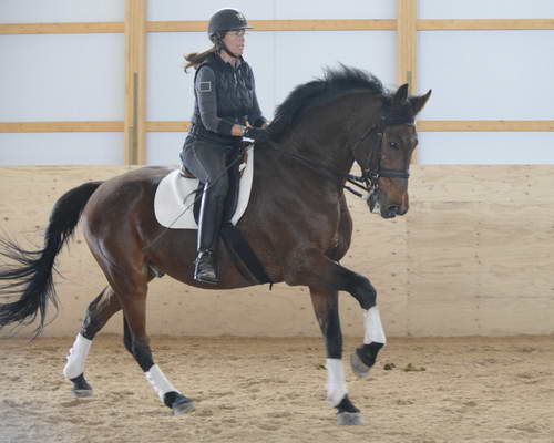 HHB1-10-13-12-9884-Atego-MarianNilsen-DDeRosaPhoto