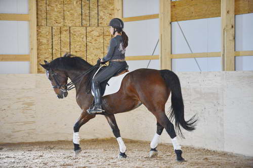 HHB1-10-13-12-9923-Atego-MarianNilsen-DDeRosaPhoto
