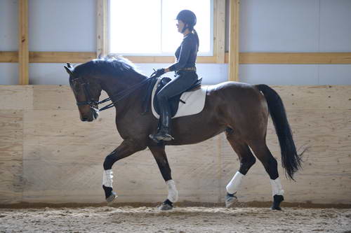 HHB1-10-13-12-9925-Atego-MarianNilsen-DDeRosaPhoto