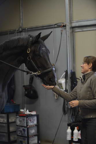 HHB2-10-13-12-0507-Frodo-MarianNilsen-DDeRosaPhoto
