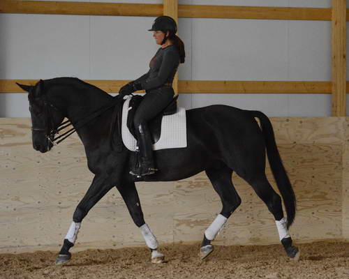 HHB2-10-13-12-0599-Frodo-MarianNilsen-DDeRosaPhoto