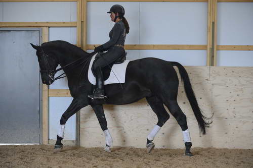 HHB2-10-13-12-0613-Frodo-MarianNilsen-DDeRosaPhoto