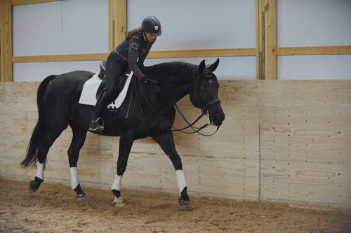 HHB2-10-13-12-0666-Frodo-MarianNilsen-DDeRosaPhoto