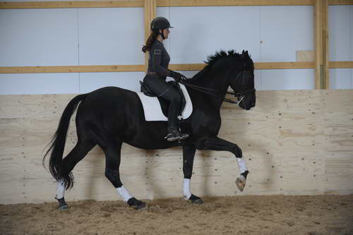 HHB2-10-13-12-0675-Frodo-MarianNilsen-DDeRosaPhoto