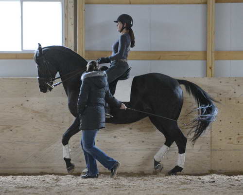 HHB2-10-13-12-0759-Frodo-MarianNilsen-DDeRosaPhoto