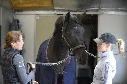 HHB2-10-13-12-0815-Frodo-MarianNilsen-DDeRosaPhoto