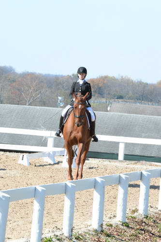 HHB-DressageFinals-11-8-13-0513-DDeRosaPhoto