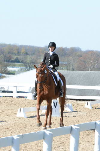 HHB-DressageFinals-11-8-13-0514-DDeRosaPhoto