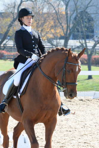HHB-DressageFinals-11-8-13-0523-DDeRosaPhoto