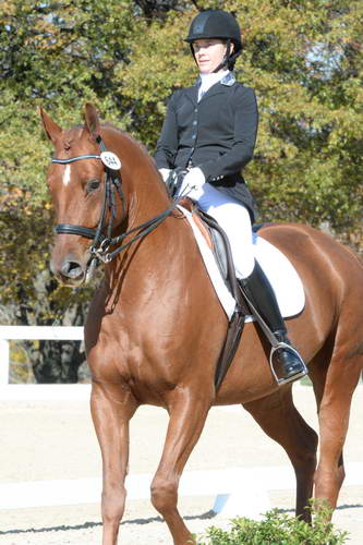 HHB-DressageFinals-11-8-13-0535-DDeRosaPhoto