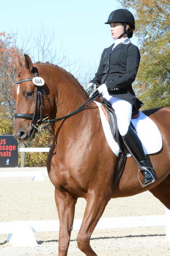 HHB-DressageFinals-11-8-13-0538-DDeRosaPhoto