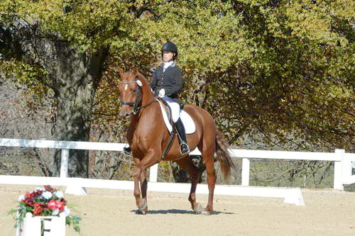 HHB-DressageFinals-11-8-13-0545-DDeRosaPhoto
