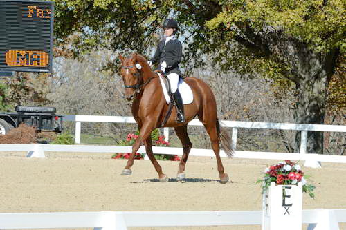 HHB-DressageFinals-11-8-13-0547-DDeRosaPhoto