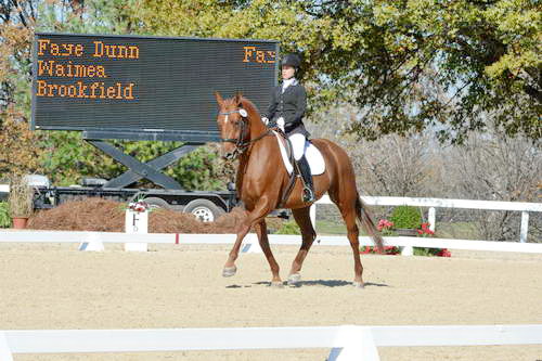 HHB-DressageFinals-11-8-13-0548-DDeRosaPhoto