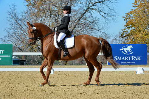 HHB-DressageFinals-11-8-13-0560-DDeRosaPhoto