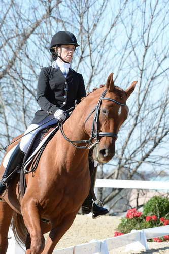 HHB-DressageFinals-11-8-13-0562-DDeRosaPhoto