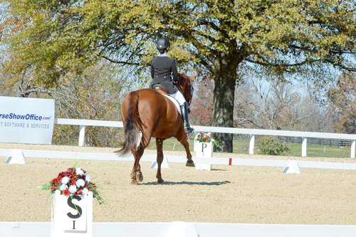 HHB-DressageFinals-11-8-13-0564-DDeRosaPhoto