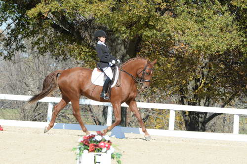 HHB-DressageFinals-11-8-13-0568-DDeRosaPhoto