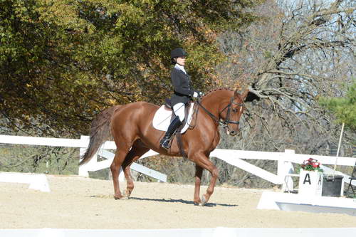 HHB-DressageFinals-11-8-13-0570-DDeRosaPhoto