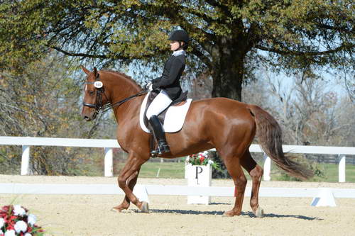 HHB-DressageFinals-11-8-13-0573-DDeRosaPhoto