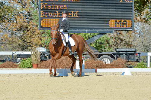 HHB-DressageFinals-11-8-13-0599-DDeRosaPhoto