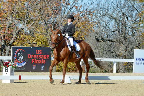 HHB-DressageFinals-11-8-13-0603-DDeRosaPhoto