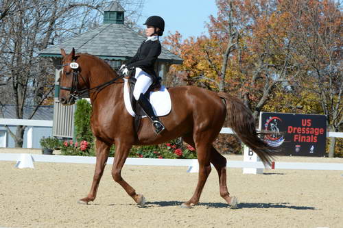 HHB-DressageFinals-11-8-13-0607-DDeRosaPhoto