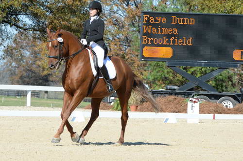 HHB-DressageFinals-11-8-13-0636-DDeRosaPhoto