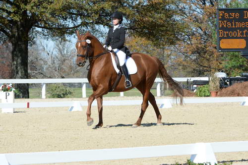 HHB-DressageFinals-11-8-13-0646-DDeRosaPhoto