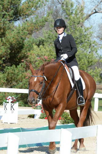 HHB-DressageFinals-11-8-13-0660-DDeRosaPhoto