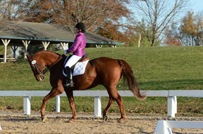 HHB-DressageFinals-11-9-13-2118-DDeRosaPhoto