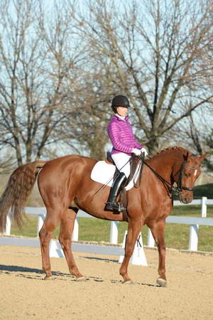 HHB-DressageFinals-11-9-13-2133-DDeRosaPhoto