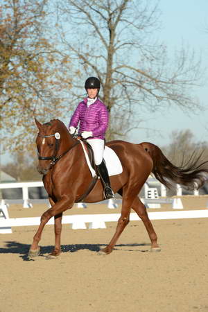HHB-DressageFinals-11-9-13-2141-DDeRosaPhoto