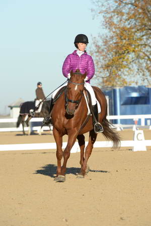 HHB-DressageFinals-11-9-13-2143-DDeRosaPhoto