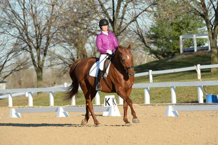 HHB-DressageFinals-11-9-13-2157-DDeRosaPhoto