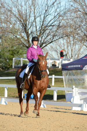 HHB-DressageFinals-11-9-13-2158-DDeRosaPhoto