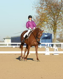 HHB-DressageFinals-11-9-13-2168-DDeRosaPhoto