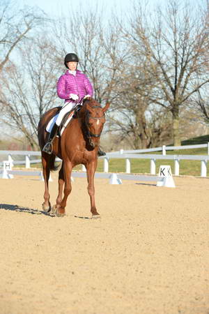 HHB-DressageFinals-11-9-13-2171-DDeRosaPhoto