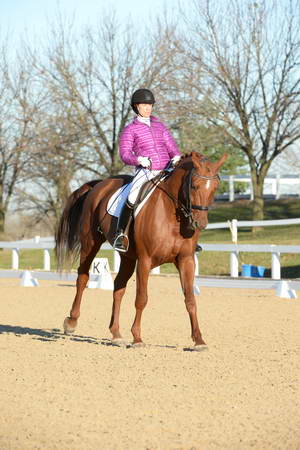 HHB-DressageFinals-11-9-13-2172-DDeRosaPhoto
