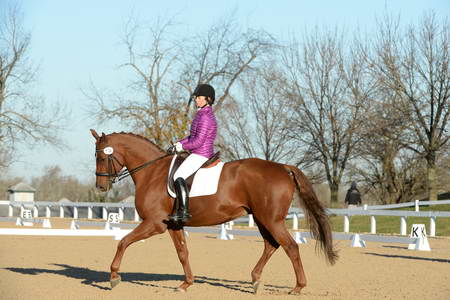 HHB-DressageFinals-11-9-13-2177-DDeRosaPhoto