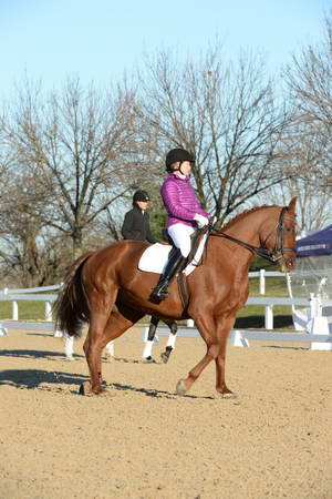 HHB-DressageFinals-11-9-13-2186-DDeRosaPhoto