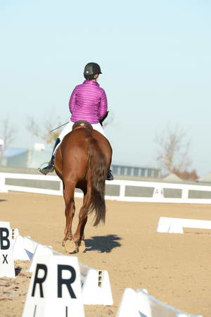 HHB-DressageFinals-11-9-13-2191-DDeRosaPhoto